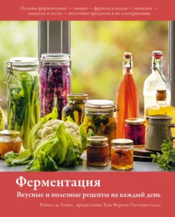 Ферментация. Вкусные и полезные рецепты на каждый день, Рейчел де Тампл