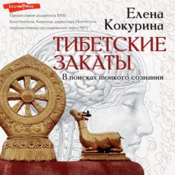 Тибетские закаты. В поисках тонкого сознания, Елена Кокурина