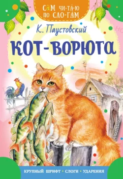 Кот-ворюга, Константин Паустовский