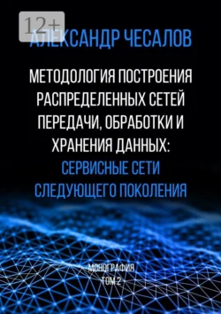 Методология построения распределенных сетей передачи  обработки и хранения данных: сервисные сети следующего поколения. Монография. Том 2 Александр Чесалов