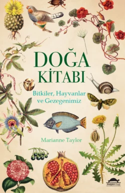 Doğa Kitabı, Marianne Taylor