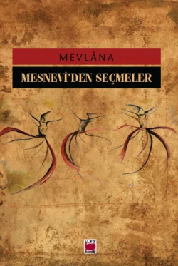 Mesnevi`den Seçmeler Mevlânâ Celâleddîn-i Rûmî