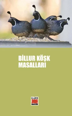 Billur Köşk Masalları Неизвестный автор