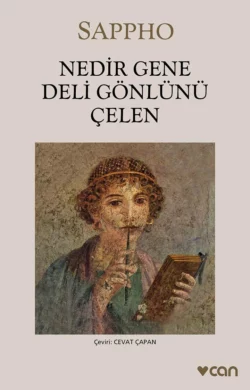 Nedir Gene Deli Gönlünü Çelen Sappho