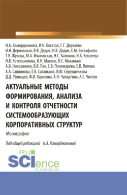 Актуальные методы формирования, анализа и контроля отчетности системообразующих корпоративных структур. (Аспирантура, Магистратура). Монография., Ирина Богатая