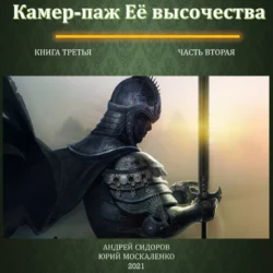 Камер-паж ее высочества. Книга 3. Часть 2, Андрей Сидоров