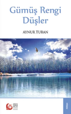 Gümüş Rengi Düşler, Aynur Turan