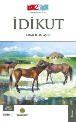 İdikut Roman, Ahmetcan Aşiri