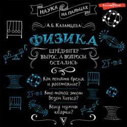 Физика. Шрёдингер вырос  а вопросы остались Алла Казанцева