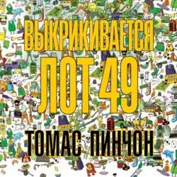 Выкрикивается лот 49, Томас Пинчон