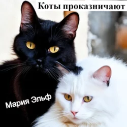 Коты проказничают…, Мария Эльф