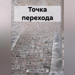 Точка перехода, Андрей Собакин