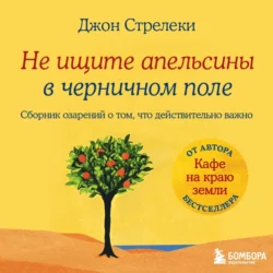 Не ищите апельсины в черничном поле. Сборник озарений о том  что действительно важно Джон П. Стрелеки