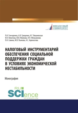 Налоговый инструментарий обеспечения социальной поддержки граждан в условиях экономической нестабильности. (Бакалавриат, Магистратура). Монография., Инна Липатова