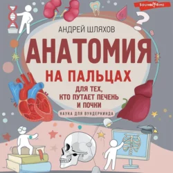 Анатомия на пальцах. Для детей и родителей, которые хотят объяснять детям, Андрей Шляхов