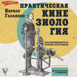 Практическая кинезиология. Как перевоспитать мышцы-халтурщицы, Кирилл Галанкин