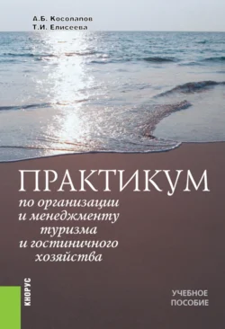 Практикум по организации и менеджменту туризма и гостиничного хозяйства. (Аспирантура, Бакалавриат, Магистратура). Учебное пособие., Татьяна Елисеева