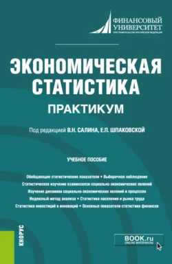 Экономическая статистика. Практикум. (Бакалавриат). Учебное пособие. Эльвира Чурилова и Елена Шпаковская