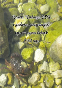 Венская Конвенция ООН о договорах международной купли-продажи товаров 1980 года, Вадим Снегирев