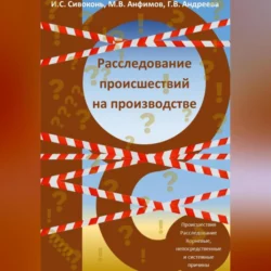 Расследование происшествий на производстве, Илья Сивоконь