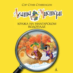 Агата Мистери. Кража на Ниагарском водопаде, Стив Стивенсон