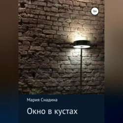 Окно в кустах, Мария Снадина