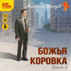 Божья коровка. Книга 2, Анатолий Дроздов