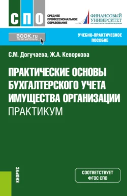 Практические основы бухгалтерского учета имущества организации. Практикум. (СПО). Учебно-практическое пособие. Жанна Кеворкова и Светлана Догучаева