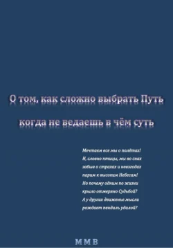 О том  как сложно выбрать Путь  когда не ведаешь в чём суть ММВ