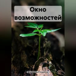 Окно возможностей, Владислав Безсмертный