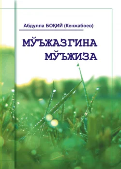 Мўъжазгина мўъжиза, Абдулла Бокий