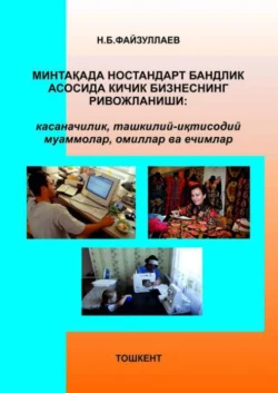 Минтақада ностандарт бандлик асосида кичик бизнеснинг ривожланиши, Н.Б. Файзуллаев