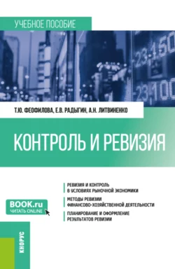 Контроль и ревизия. (Бакалавриат  Магистратура  Специалитет). Учебное пособие. Татьяна Феофилова и Евгений Радыгин