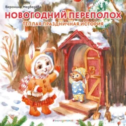 Новогодний переполох, Вероника Медведева