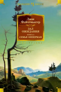 Зал ожидания. Книга 2. Семья Опперман, Лион Фейхтвангер