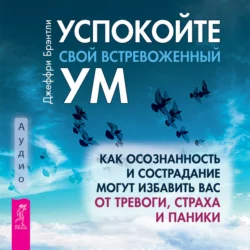 Успокойте свой встревоженный ум. Как осознанность и сострадание могут избавить вас от тревоги  страха и паники Джеффри Брэнтли