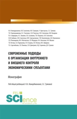 Современные подходы к организации внутреннего и внешнего контроля экономическими субъектами. (Аспирантура, Магистратура). Монография., Наталья Горюнова