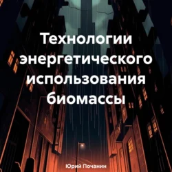 Технологии энергетического использования биомассы, Юрий Почанин