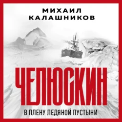 Челюскин. В плену ледяной пустыни, Михаил Калашников