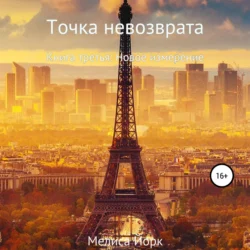 Точка невозврата. Книга третья: Новое измерение, Мелиса Йорк