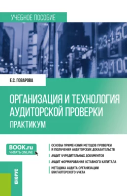 Организация и технология аудиторской проверки. Практикум. (Магистратура). Учебное пособие., Елизавета Поварова