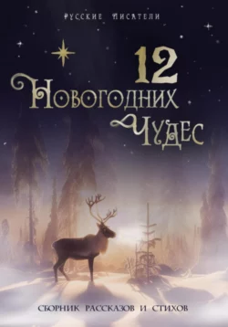 12 новогодних чудес, Юлия Atreyu