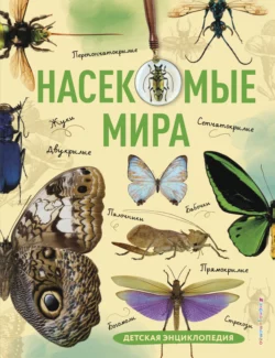 Насекомые мира. Детская энциклопедия, Андрей Сочивко