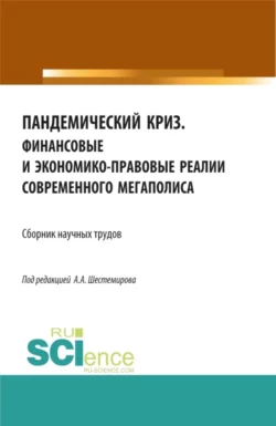 Пандемический криз. Финансовые и экономико-правовые реалии современного мегаполиса. (Аспирантура, Бакалавриат, Магистратура). Сборник статей., Алексей Шестемиров