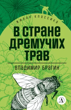 В Стране Дремучих Трав, Владимир Брагин