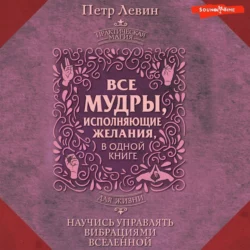 Мудры. Все в одной книге. Исполни любое желание, Петр Левин