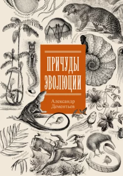 Причуды эволюции Александр Дементьев