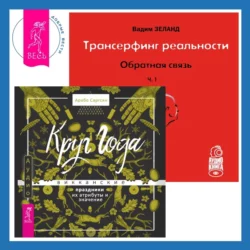 Трансерфинг реальности. Обратная связь. Часть 1 + Круг Года. Викканские праздники, их атрибуты и значение, Вадим Зеланд