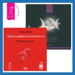 Трансерфинг реальности. Ступень I: Пространство вариантов + Я жрец. Практикум по жречеству в Викке, Вадим Зеланд