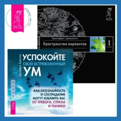 Успокойте свой встревоженный ум + Трансерфинг реальности. Ступень I, Вадим Зеланд